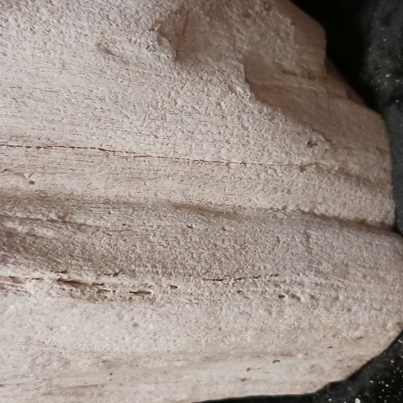 Petrified wood - Picture 11 of 16